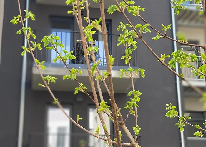 Eiwelhome - Stilvoll, Urban-ruhig Schlafen, Bahnhofsnah, Balkon Daire Erfurt