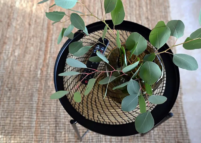 Eiwelhome - Stilvoll, Urban-ruhig Schlafen, Bahnhofsnah, Balkon * Erfurt